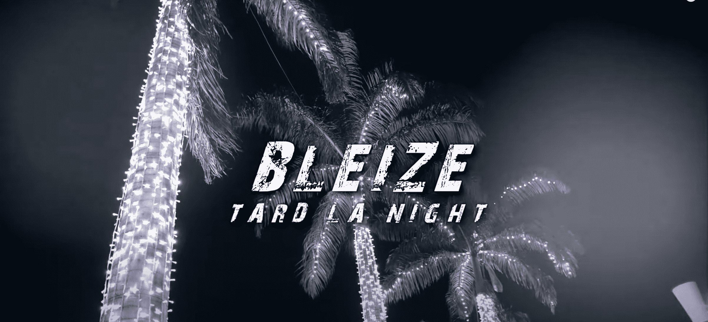 Bleize est de retour avec son nouveau single "Tard la Night"